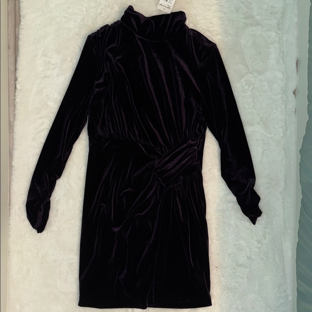 Badgley Mischka Dark Violet Long Sleeve Velvet Dress